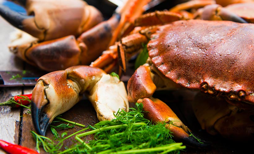 Brown and White Crab Meat: What’s the Difference?