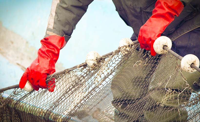 5 Problems in the Fishing Industry: What is Norway Doing to Tackle Them