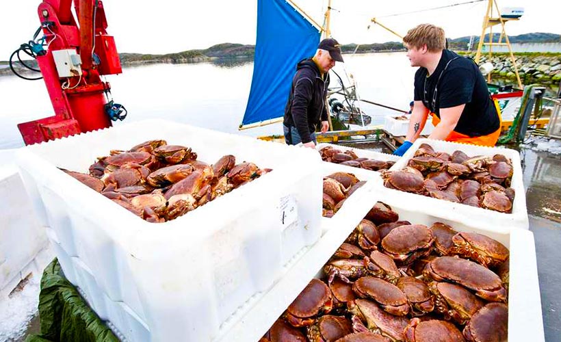effects of globalisation on seafood industry in norway