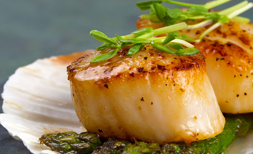 how to prepare and cook scallops