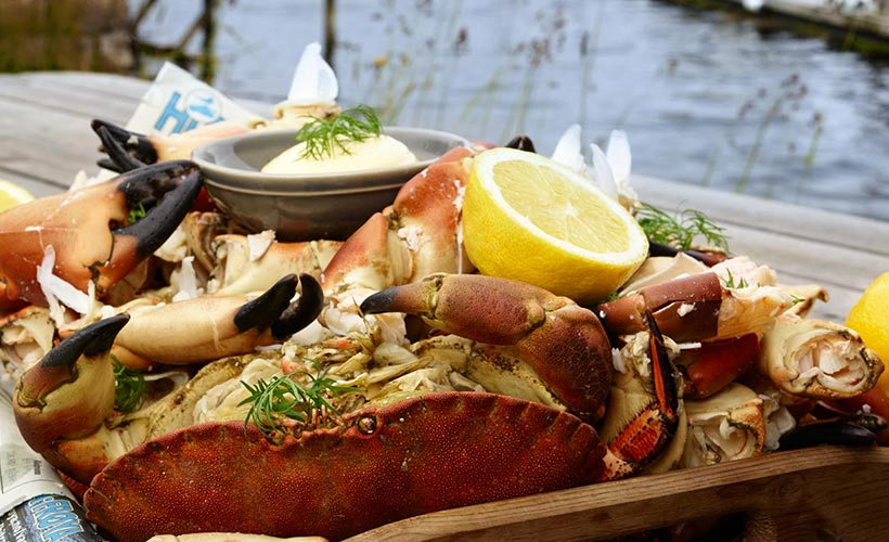 From Boiling to Steaming: A Quick Guide to Four Basic Ways to Cook Crab 